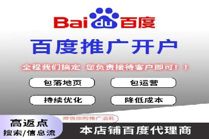 网络推广与竞价广告：双管齐下的策略案例